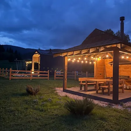 Chalet The Prut Worochta