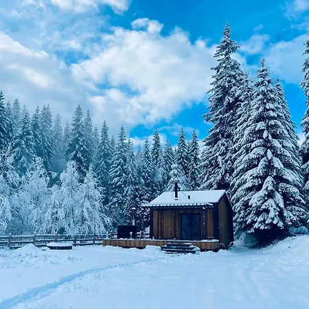 Dağ evi The Prut Vorokhta